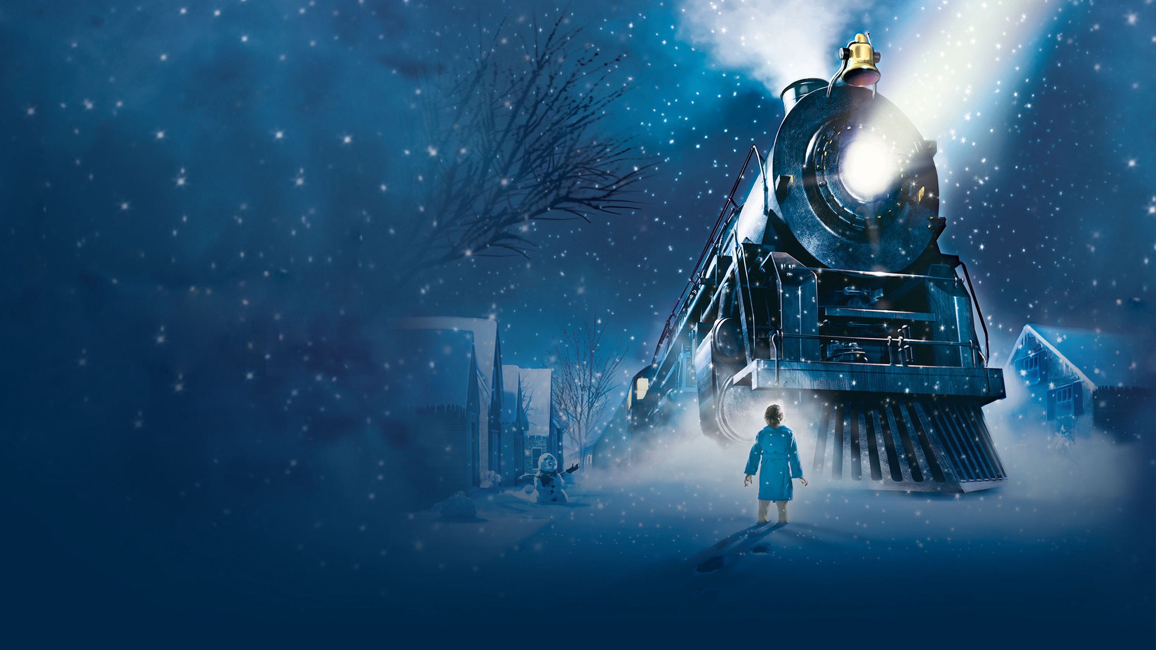 The Polar Express